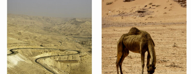 Fotograficzna podróż przez pustynię – FOTO