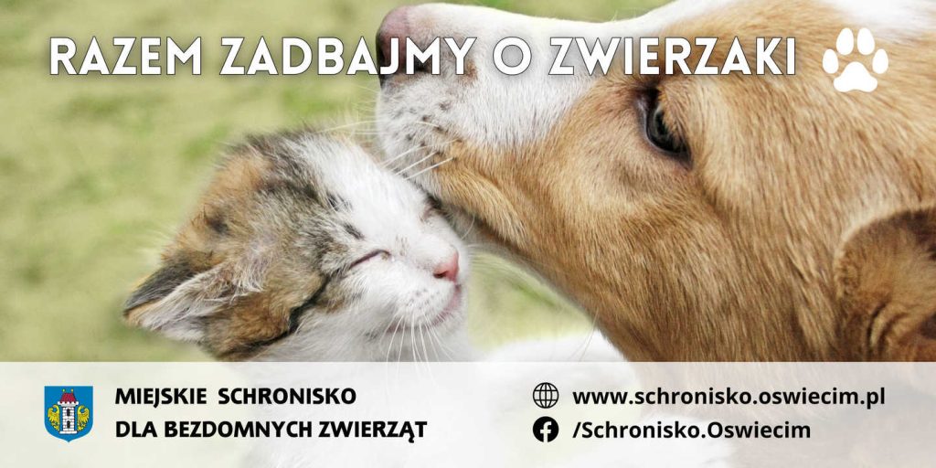 Nowa kampania informacyjna na billboardach oświęcimskiego magistratu zachęca mieszkańców do wsparcia schroniska.