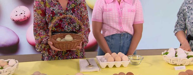 Czym się kierować przy wyborze jajek? – FILM