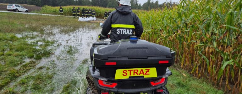 Rozlewisko w Brzeszczach. Strażacy zabezpieczają domostwa – FOTO