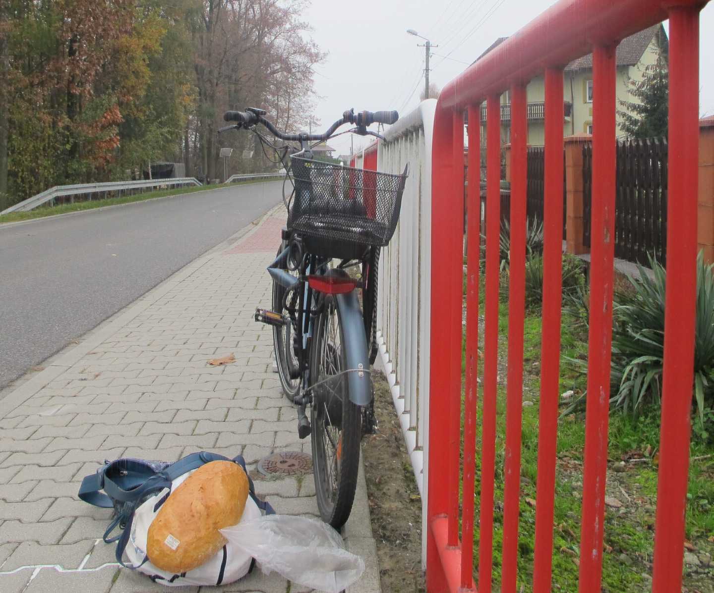 Potrącenie rowerzystki