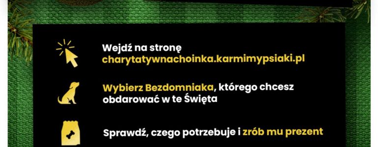 Oświęcimskie schronisko w akcji Charytatywna Choinka od Karmimy Psiaki