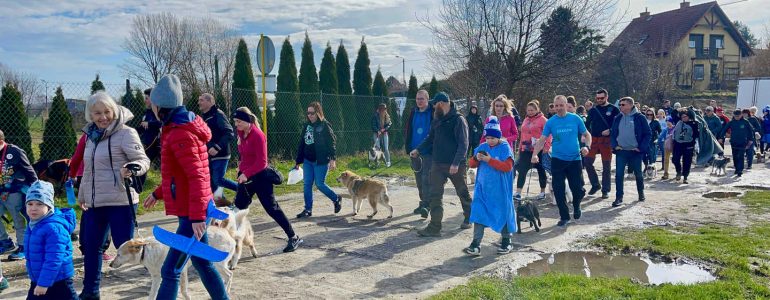 2. Pozytywny Spacer z Morsami i Pupilami, dla bezdomiaków – FILMY