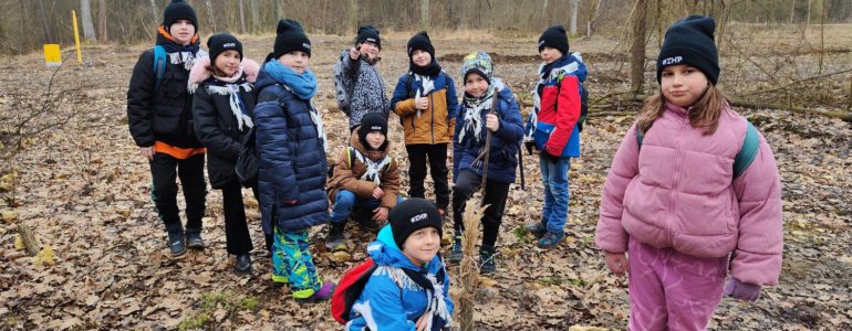 Czy las śpi zimą? Zimowy Rajd Hufca w Chełmku – FOTO